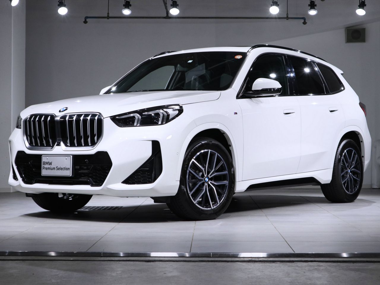 X1 xDrive20i M Sport