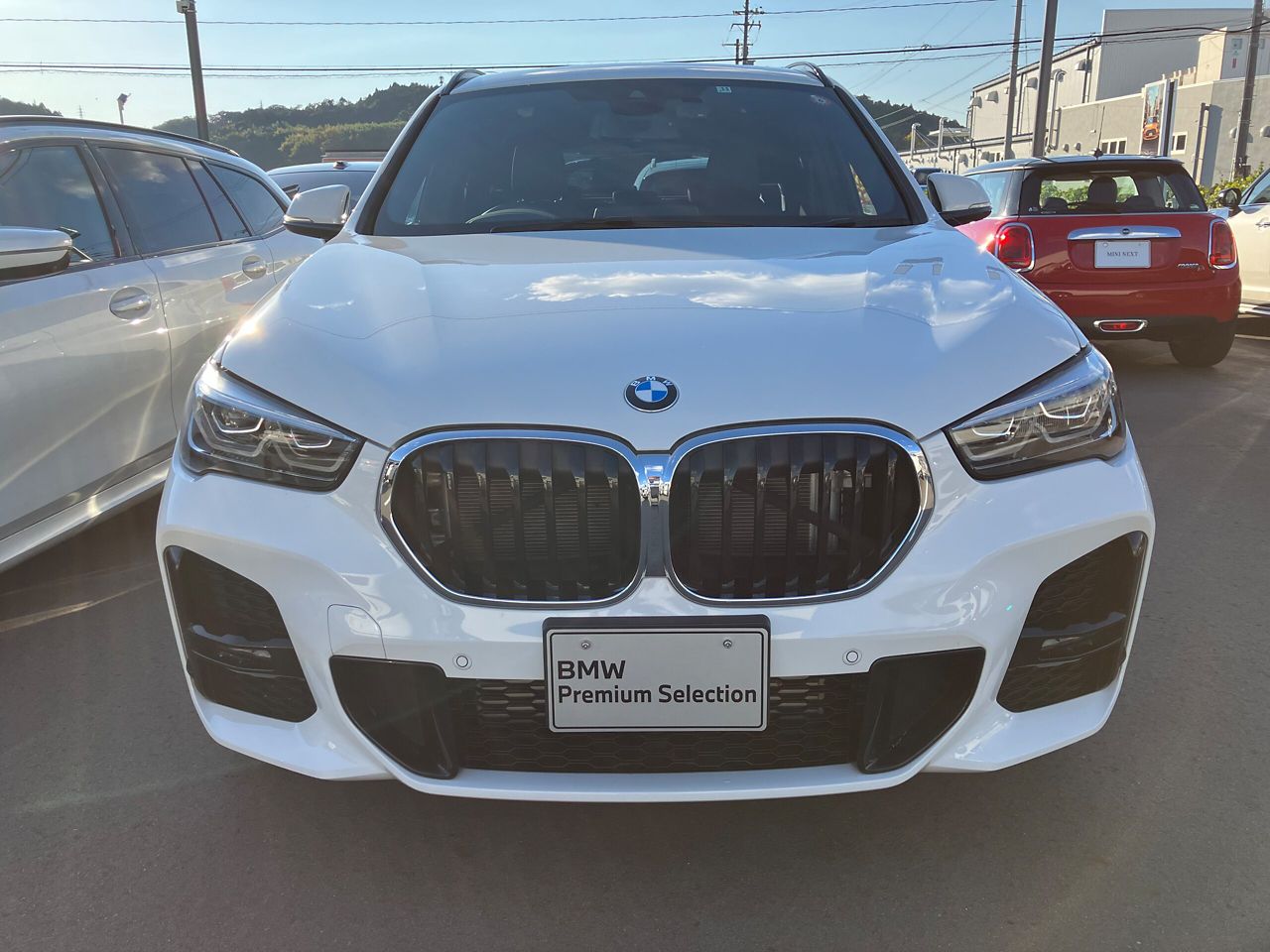 X1 xDrive 18d M Sport