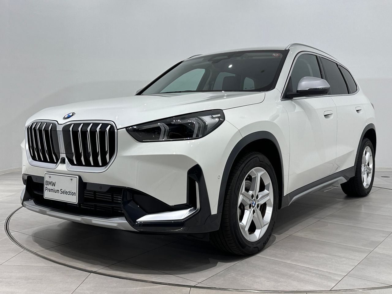 BMW X1 xDrive 20i xLine