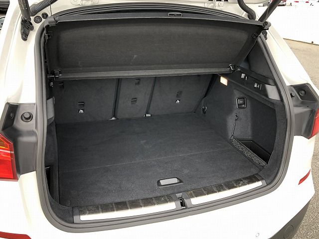 F48 X1 xDrive20i B48 2.0i