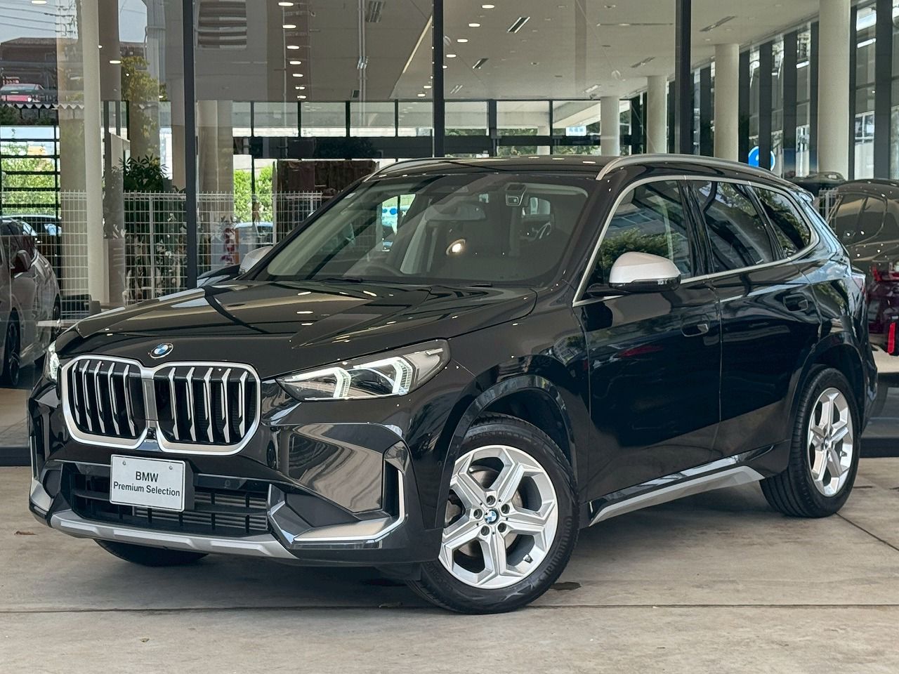 X1 xDrive20i xLine