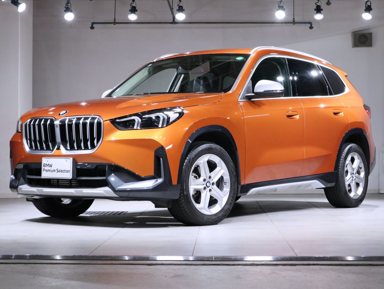 X1 xDrive20d xLine