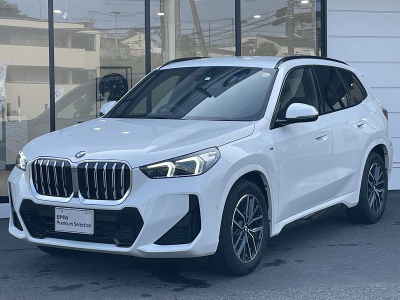 X1 xDrive20i M Sport