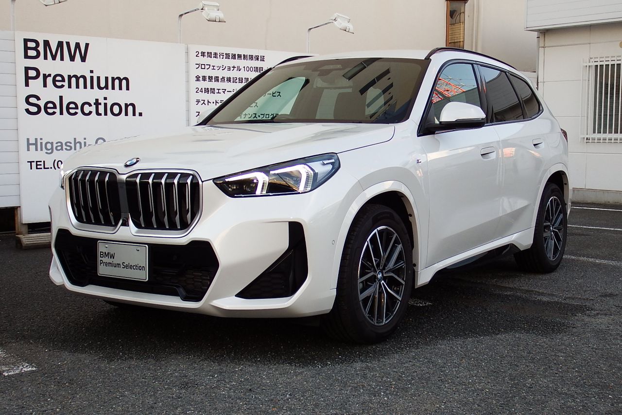 X1 sDrive18i M Sport