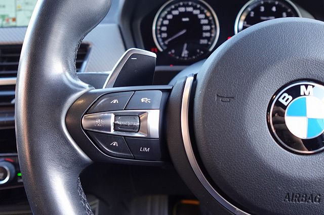 F39 X2 xDrive20i B48 2.0i SAC