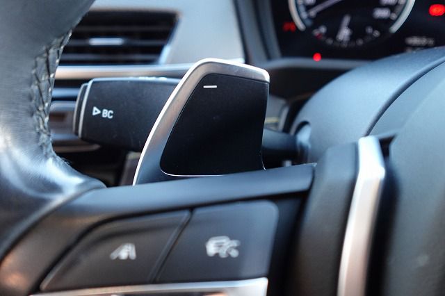 F39 X2 xDrive20i B48 2.0i SAC