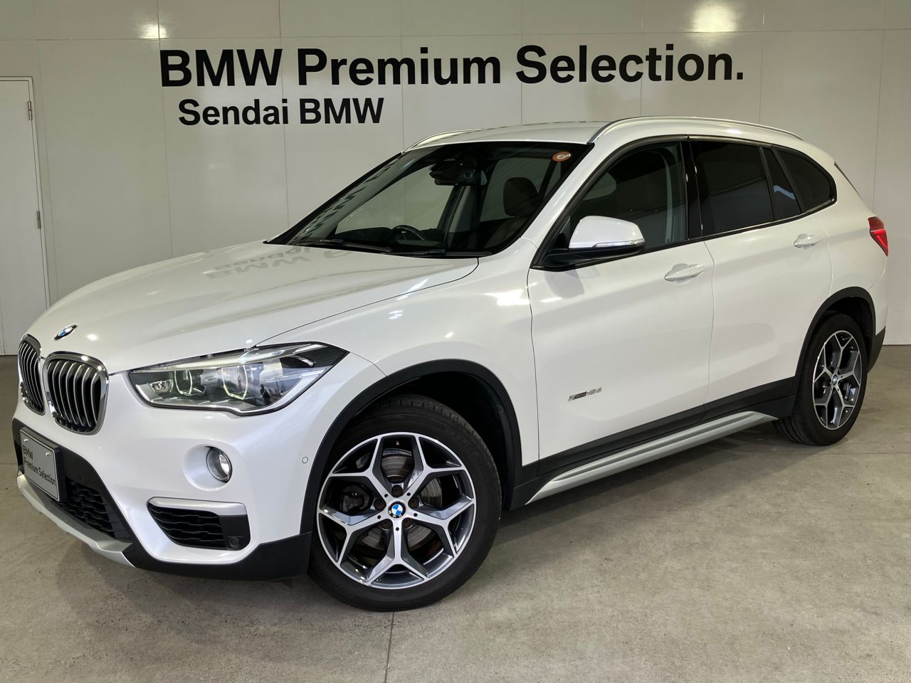 X1 xDrive 18d xLine