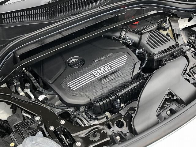 F39 X2 sDrive18i B38 1.5i SAC