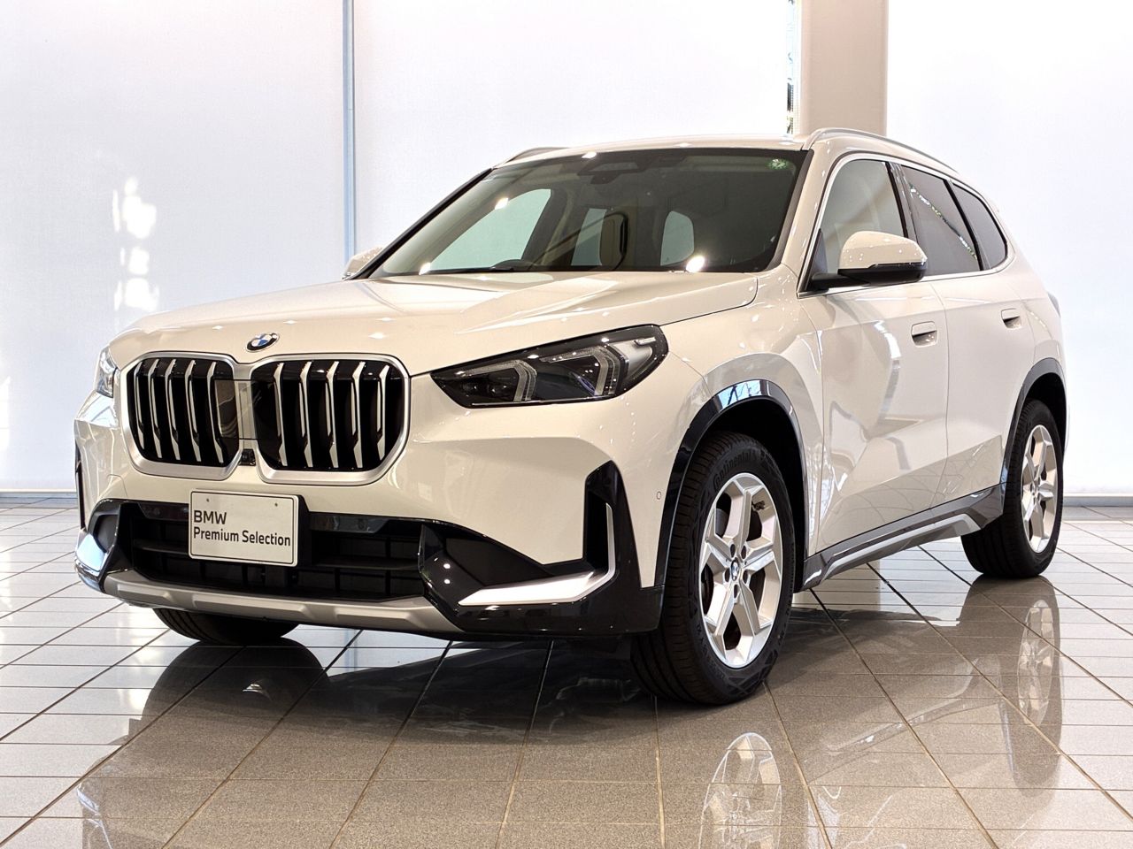 X1 xDrive20d xLine