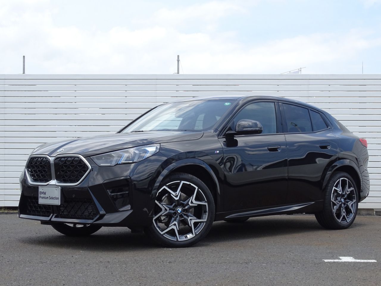 X2 xDrive20i M Sport