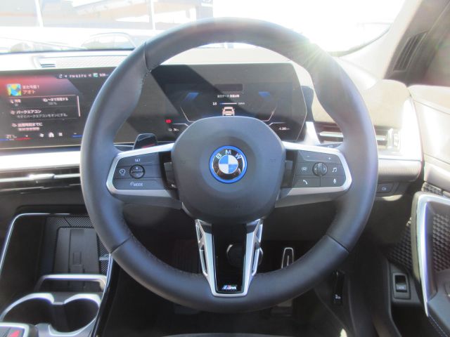 iX2 xDrive30 MSP