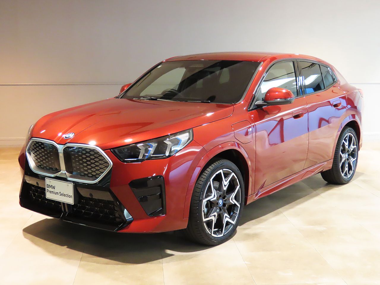 iX2 xDrive30 M Sport