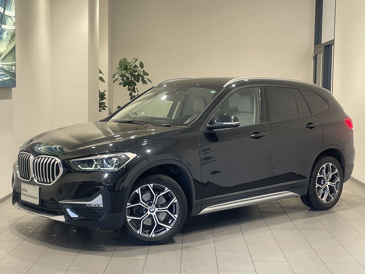 X1 xDrive 18d xLine