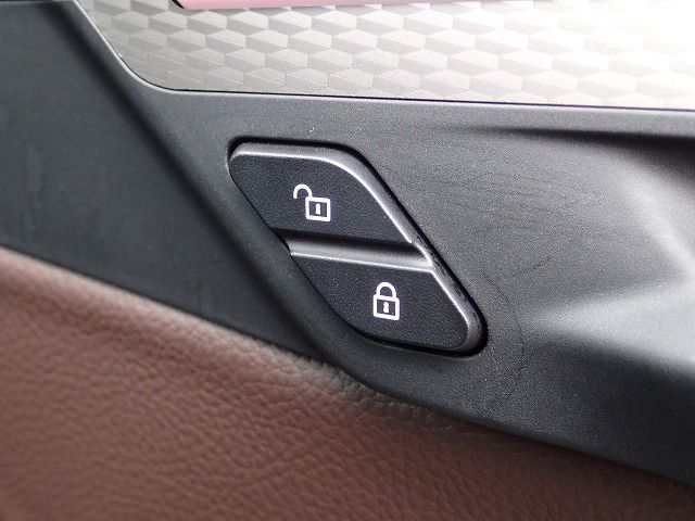 F39 X2 M35i B48 2.0i