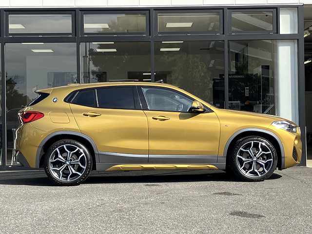 F39 X2 xDrive20i B48 2.0i SAC