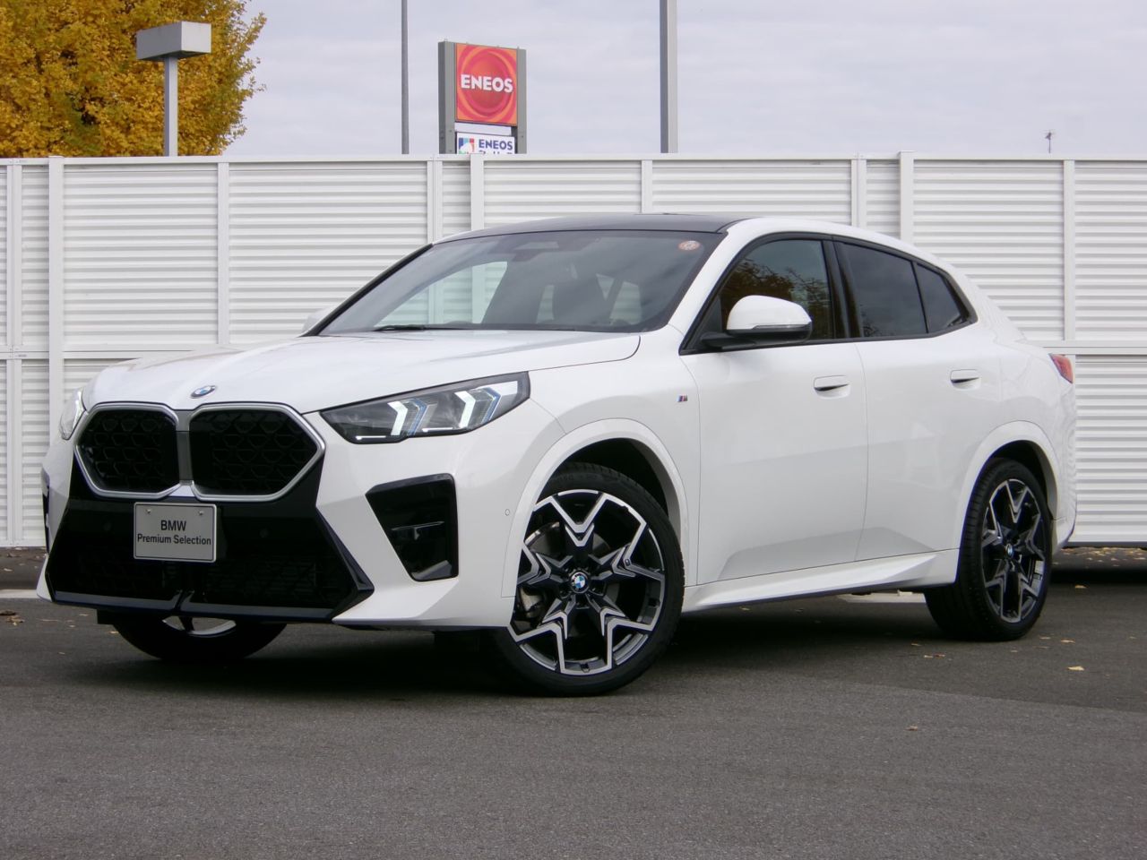 X2 xDrive20i M Sport