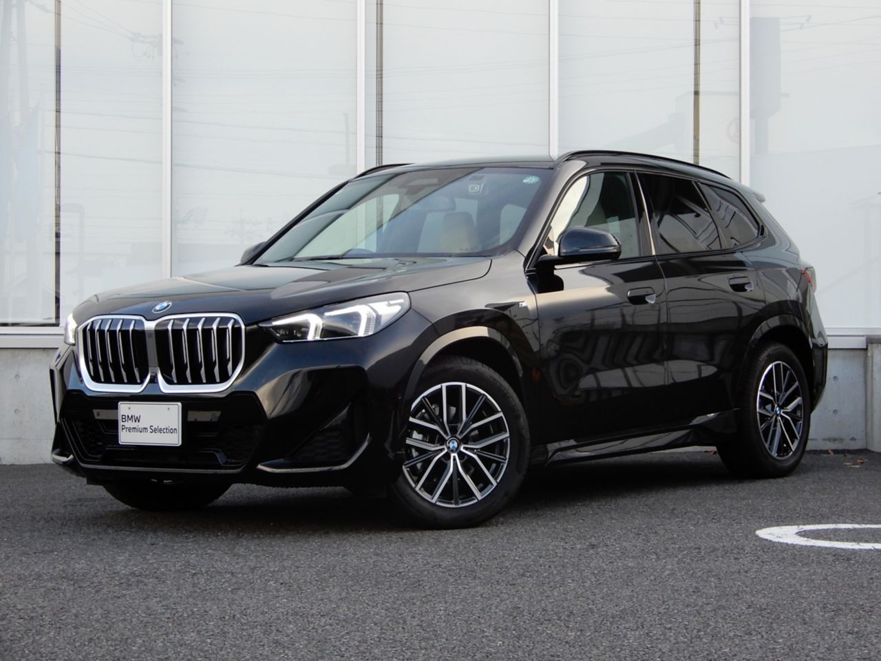 X1 xDrive20d M Sport