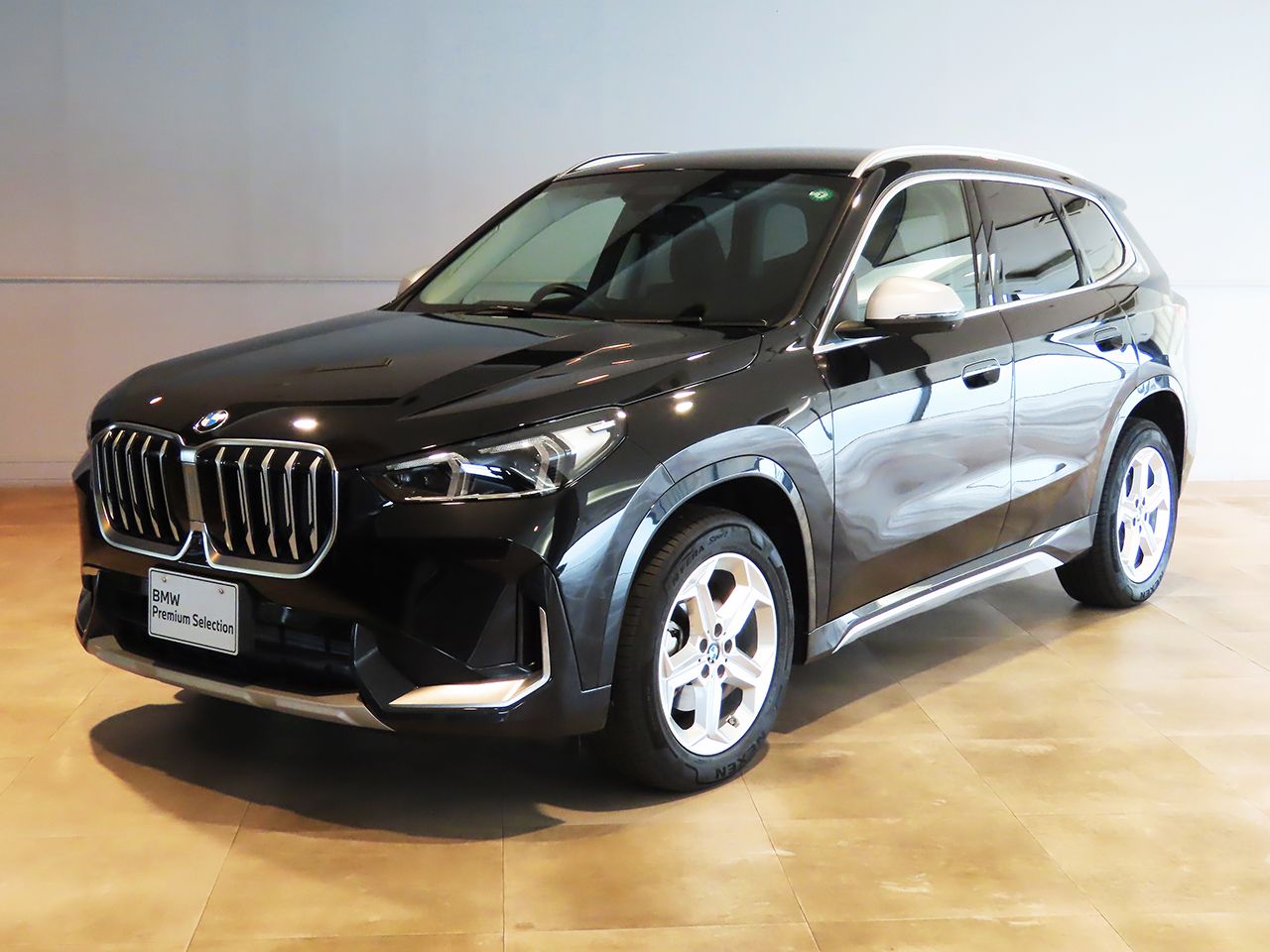 X1 xDrive20d xLine