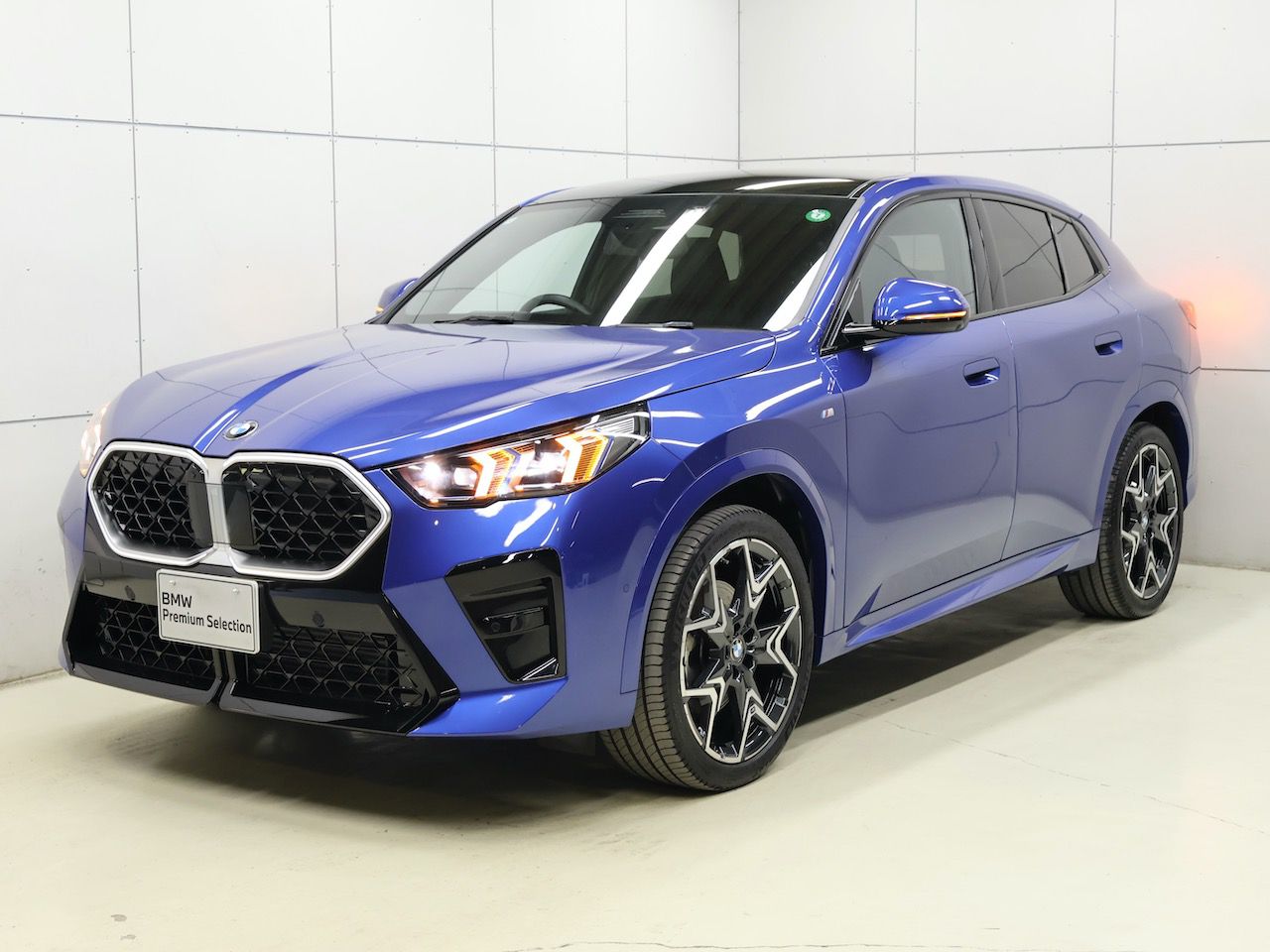 X2 xDrive20i M Sport