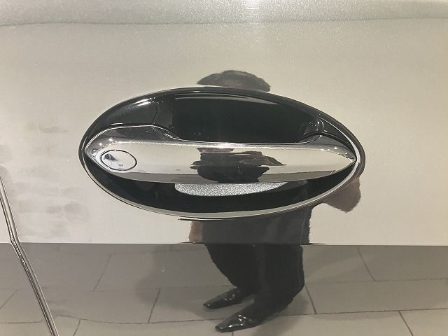 G07 X7 xDrive40d B57 3.0d