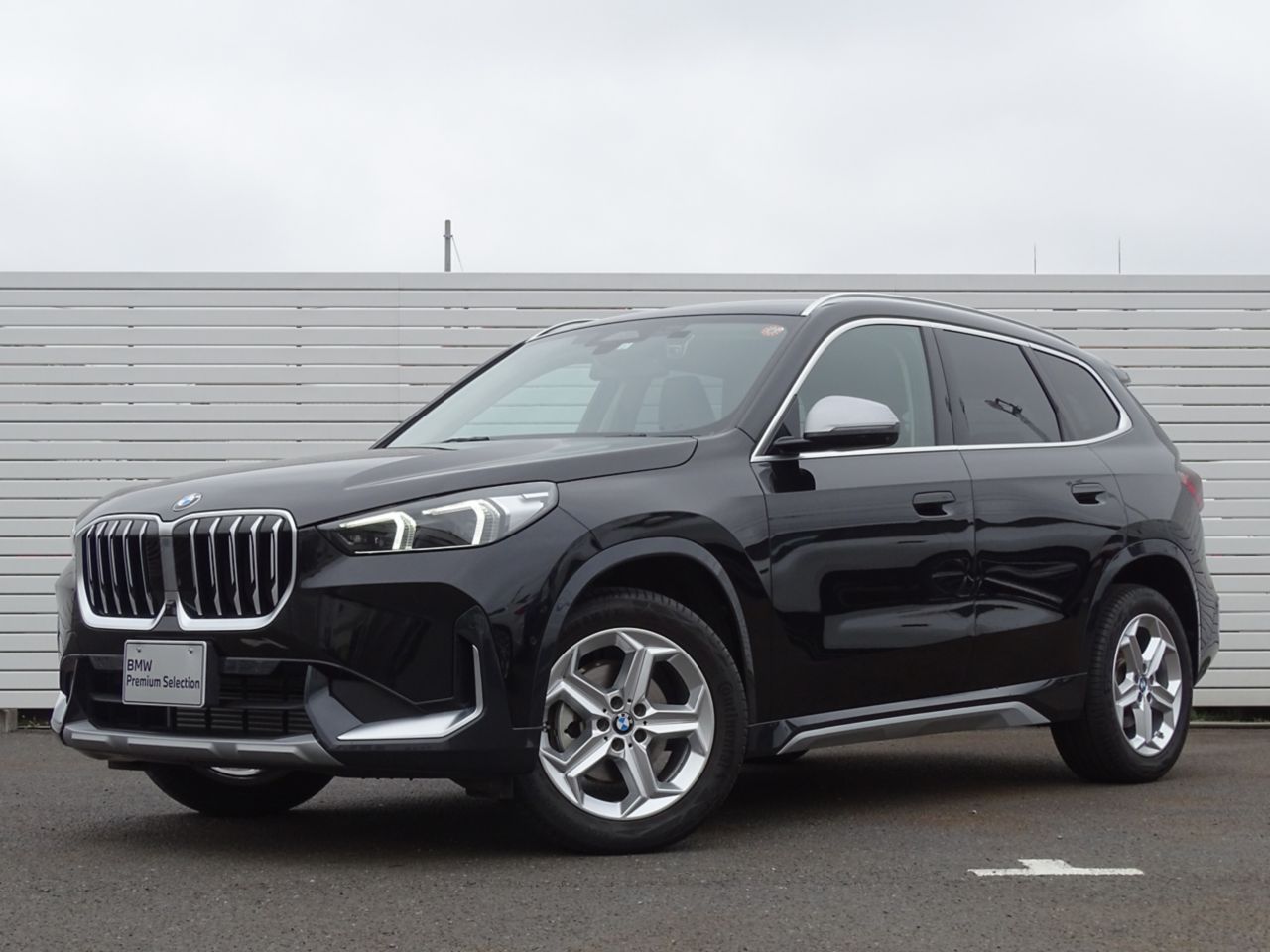 X1 xDrive20i xLine