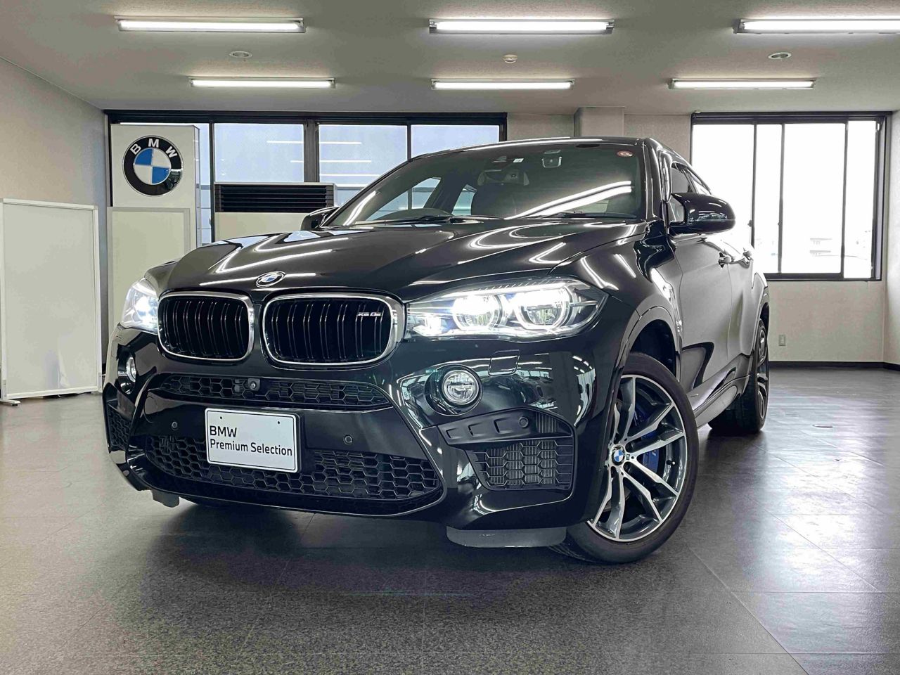 X6 M