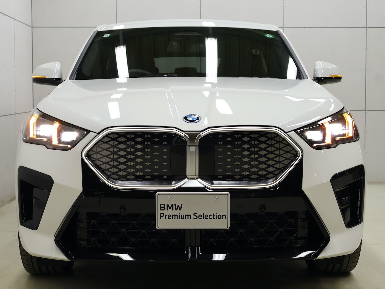 iX2 xDrive30 MSP