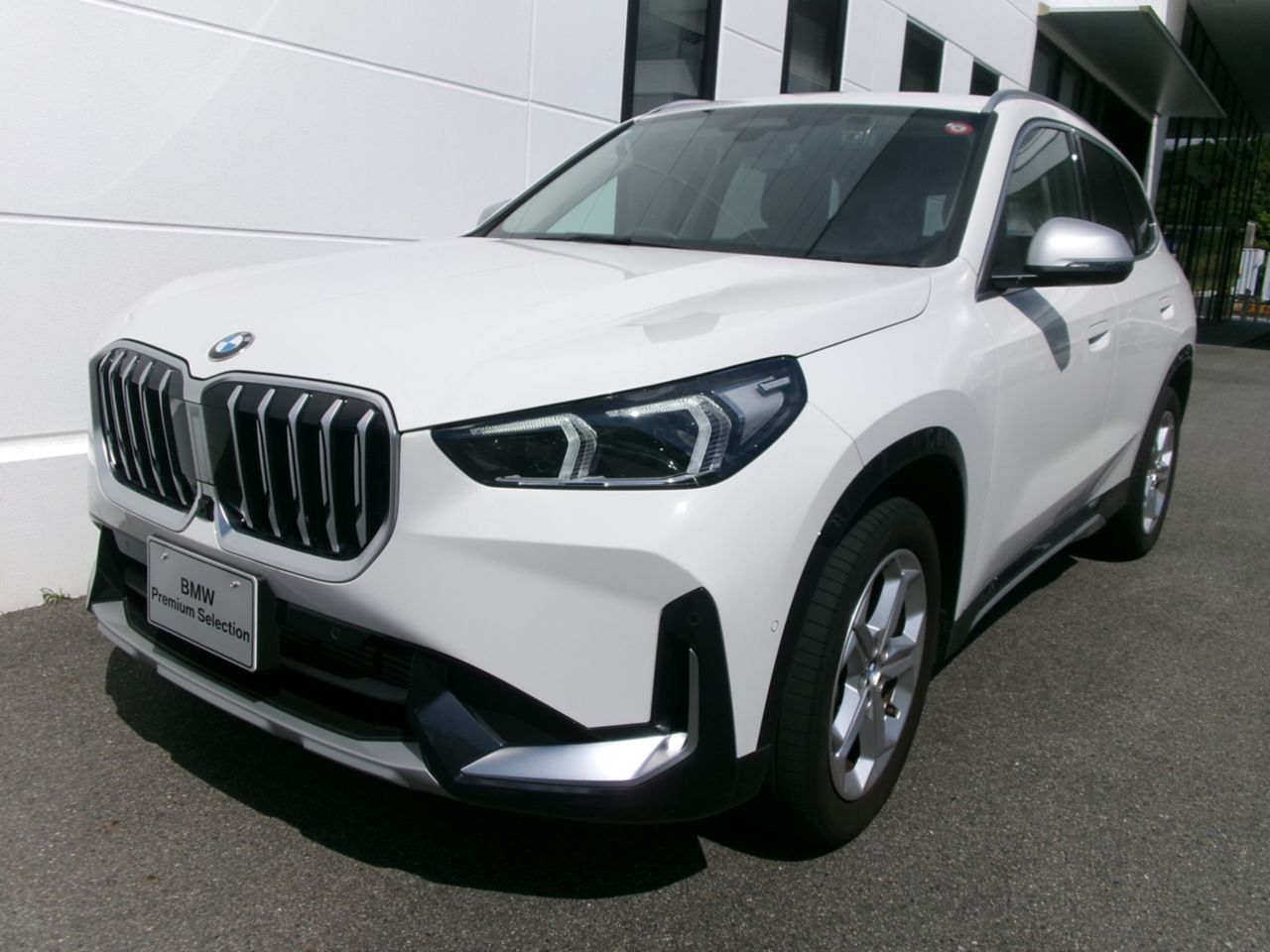 X1 xDrive20d xLine