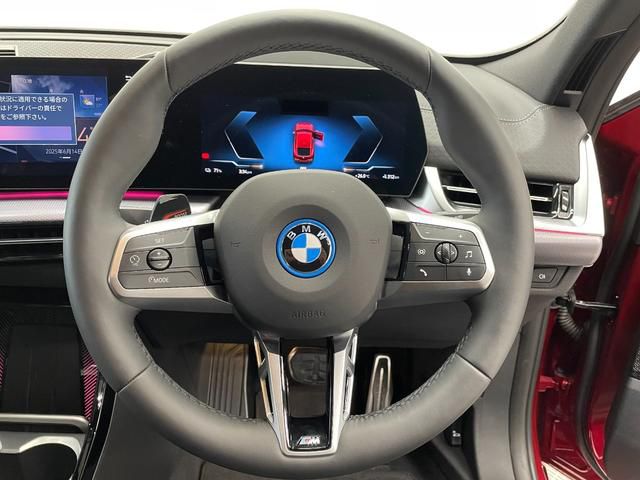 iX2 xDrive30 MSP
