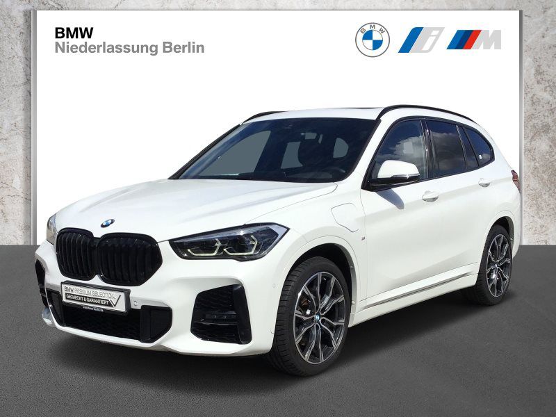 X1 xDrive25e