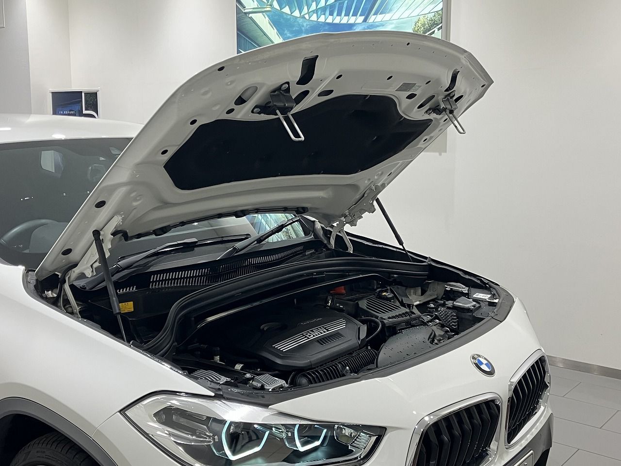 F39 X2 xDrive20i B48 2.0i SAC