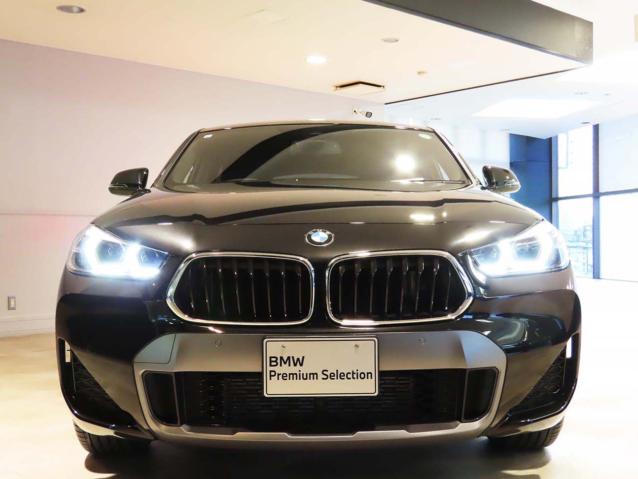 F39 X2 xDrive20d B47 2.0d