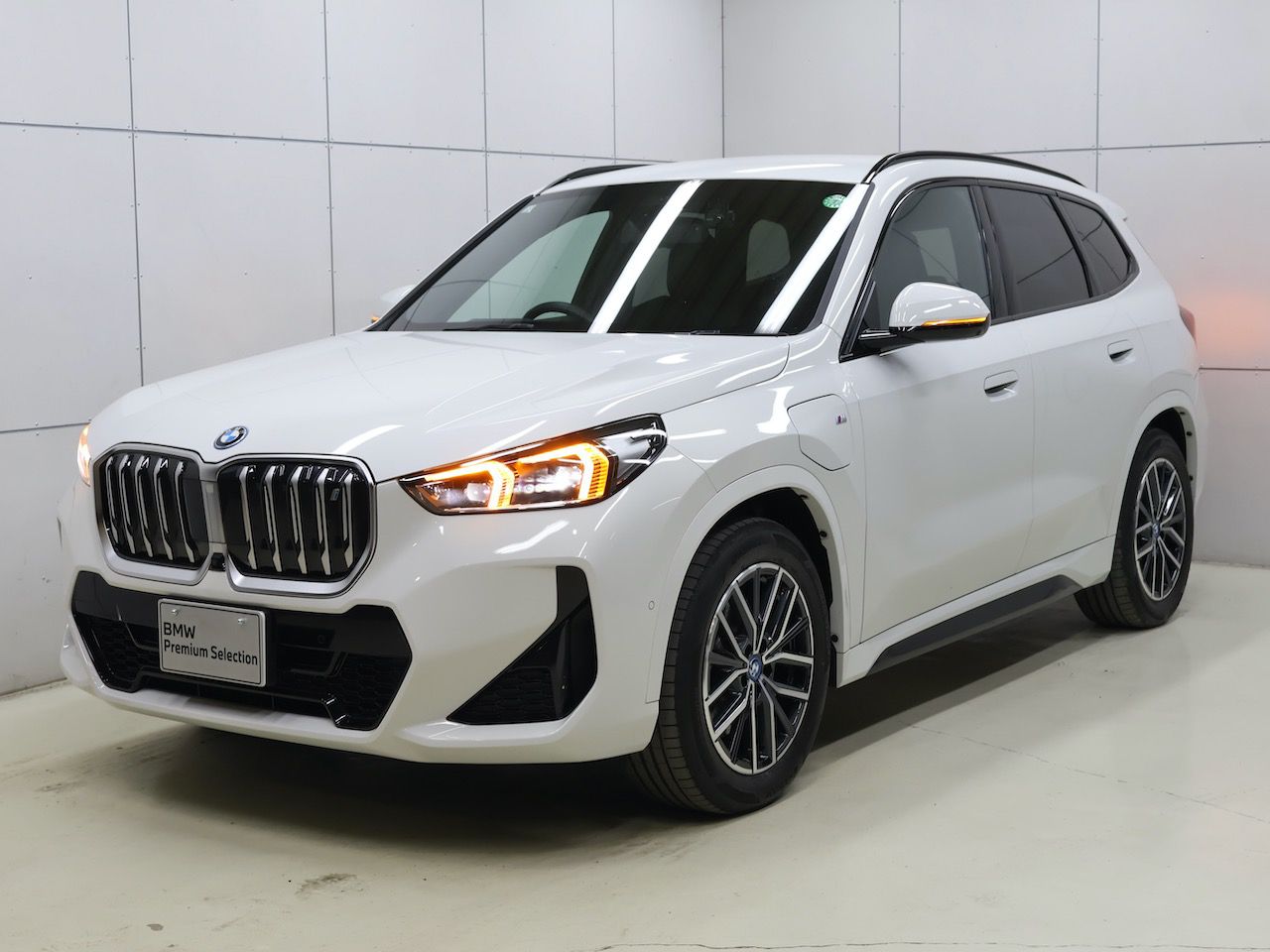 U11 iX1 xDrive30