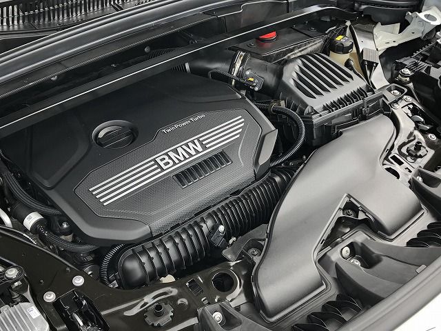 F48 X1 xDrive20i B48 2.0i