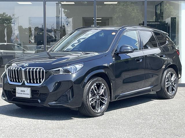 X1 xDrive20i M Sport