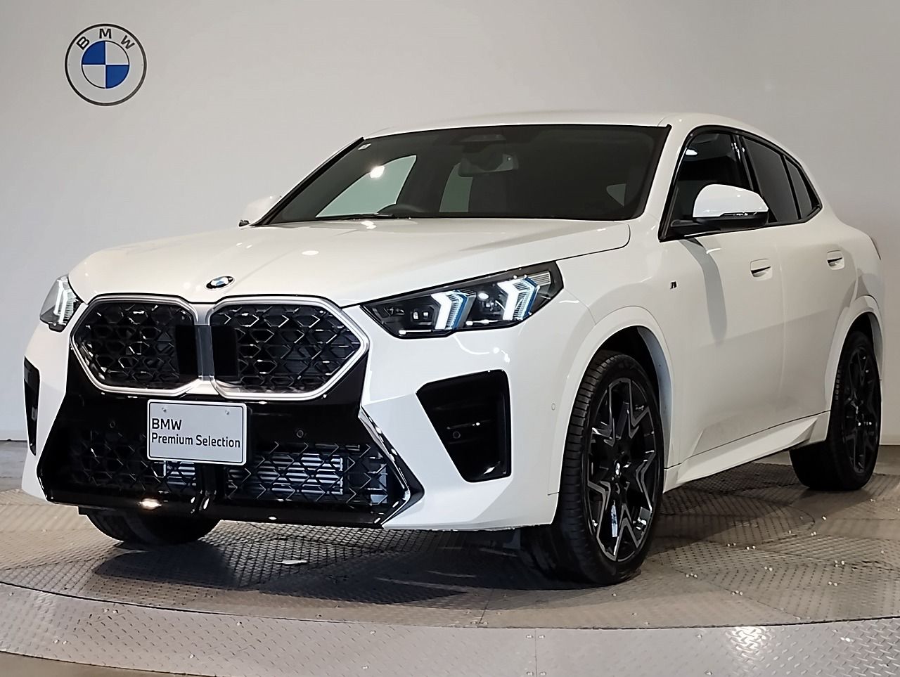 X2 xDrive20i M Sport