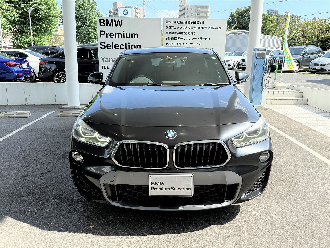 F39 X2 xDrive20i B48 2.0i SAC