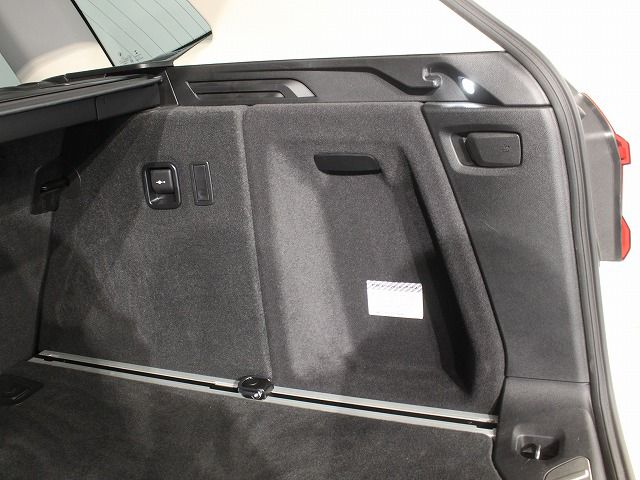 X3 20D