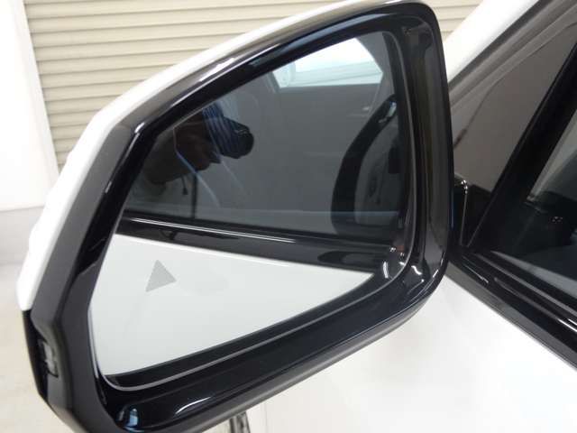 iX2 xDrive30 MSP
