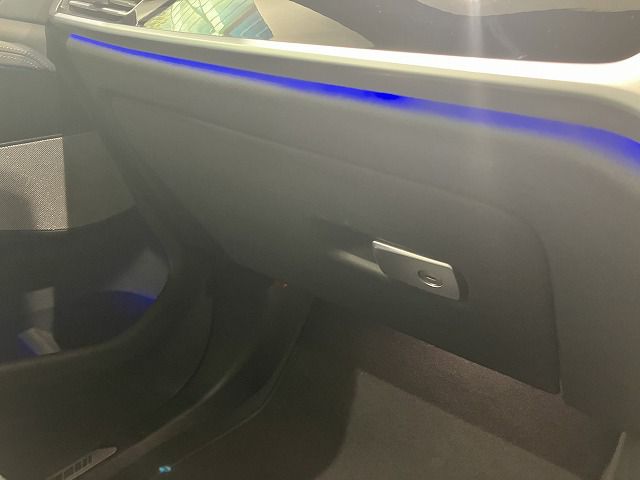 G07 X7 xDrive40d B57 3.0d
