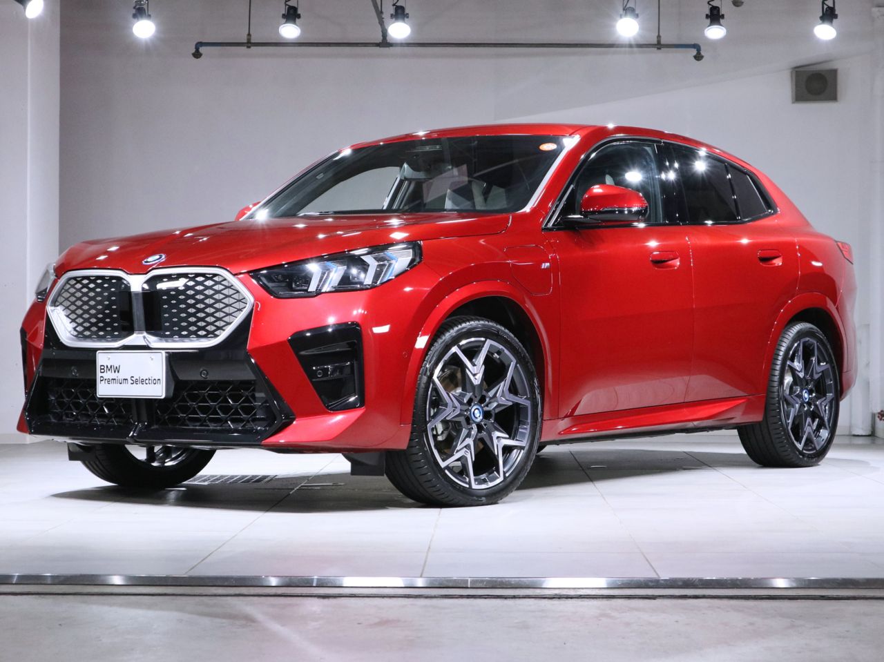 iX2 xDrive30 M Sport