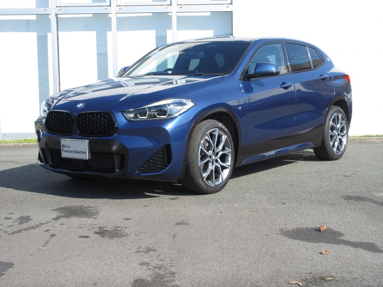 F39 X2 xDrive20d B47 2.0d