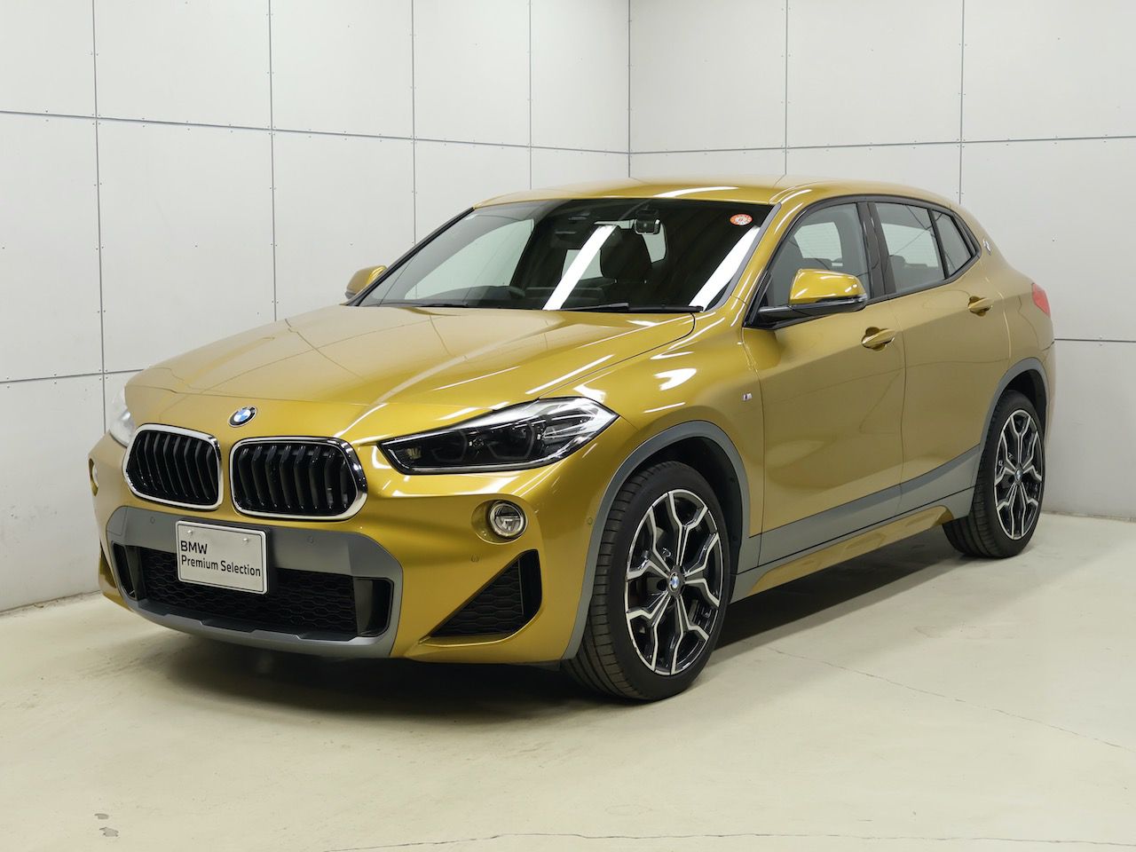 X2 sDrive18i M Sport X