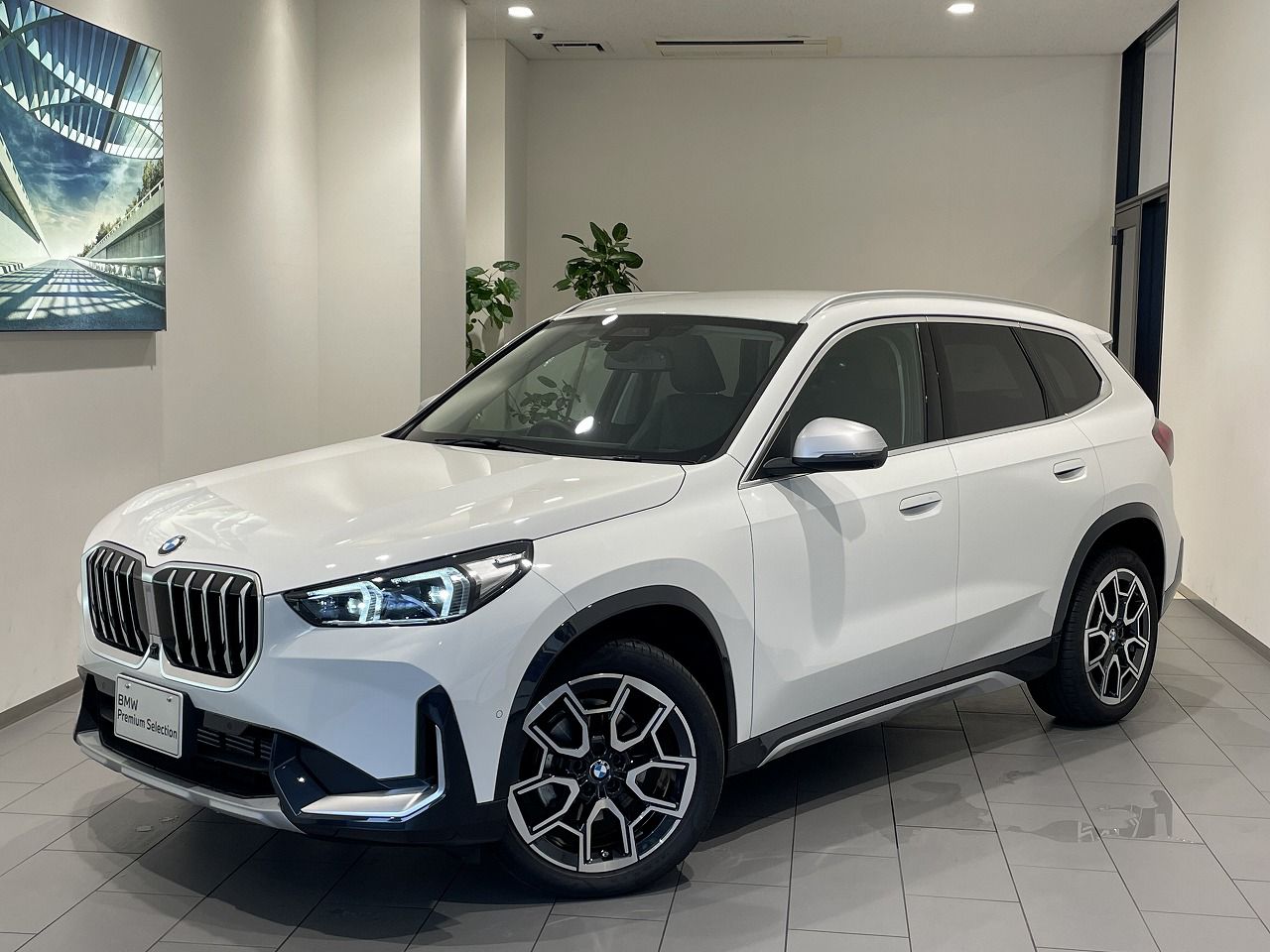 X1 xDrive20d xLine