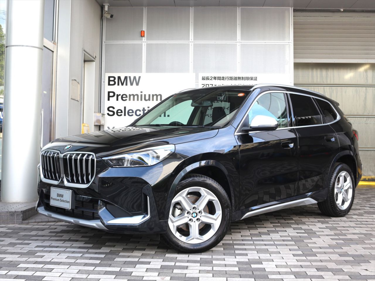 X1 xDrive20i xLine
