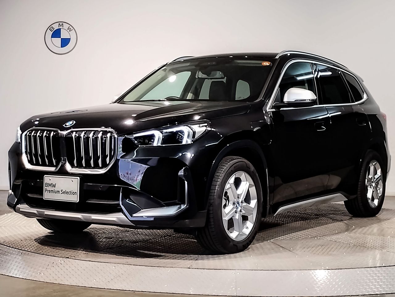iX1 xDrive30 xLine