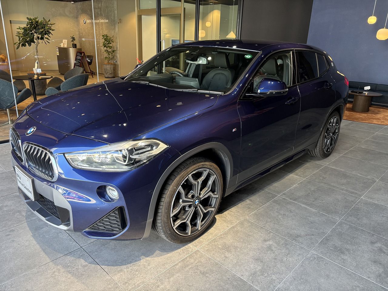 F39 X2 xDrive20i B48 2.0i SAC