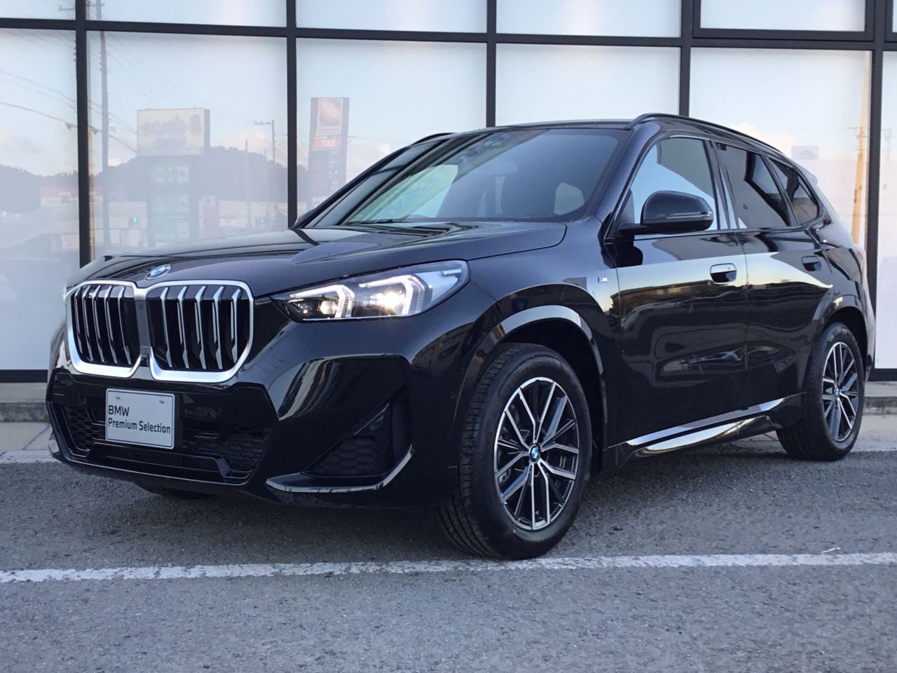 X1 sDrive18i M Sport