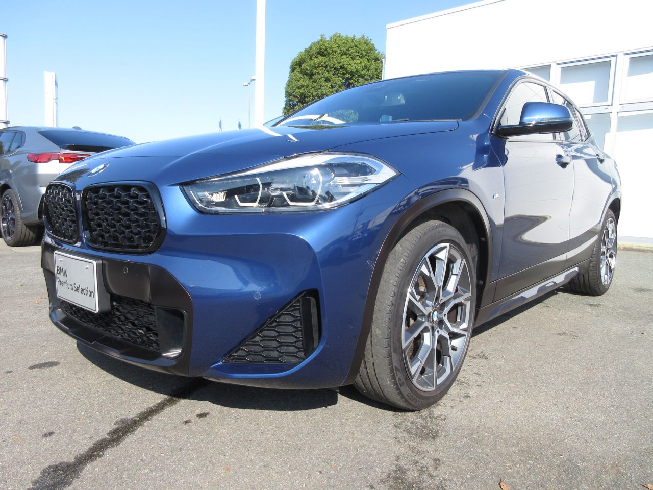 F39 X2 xDrive20d B47 2.0d