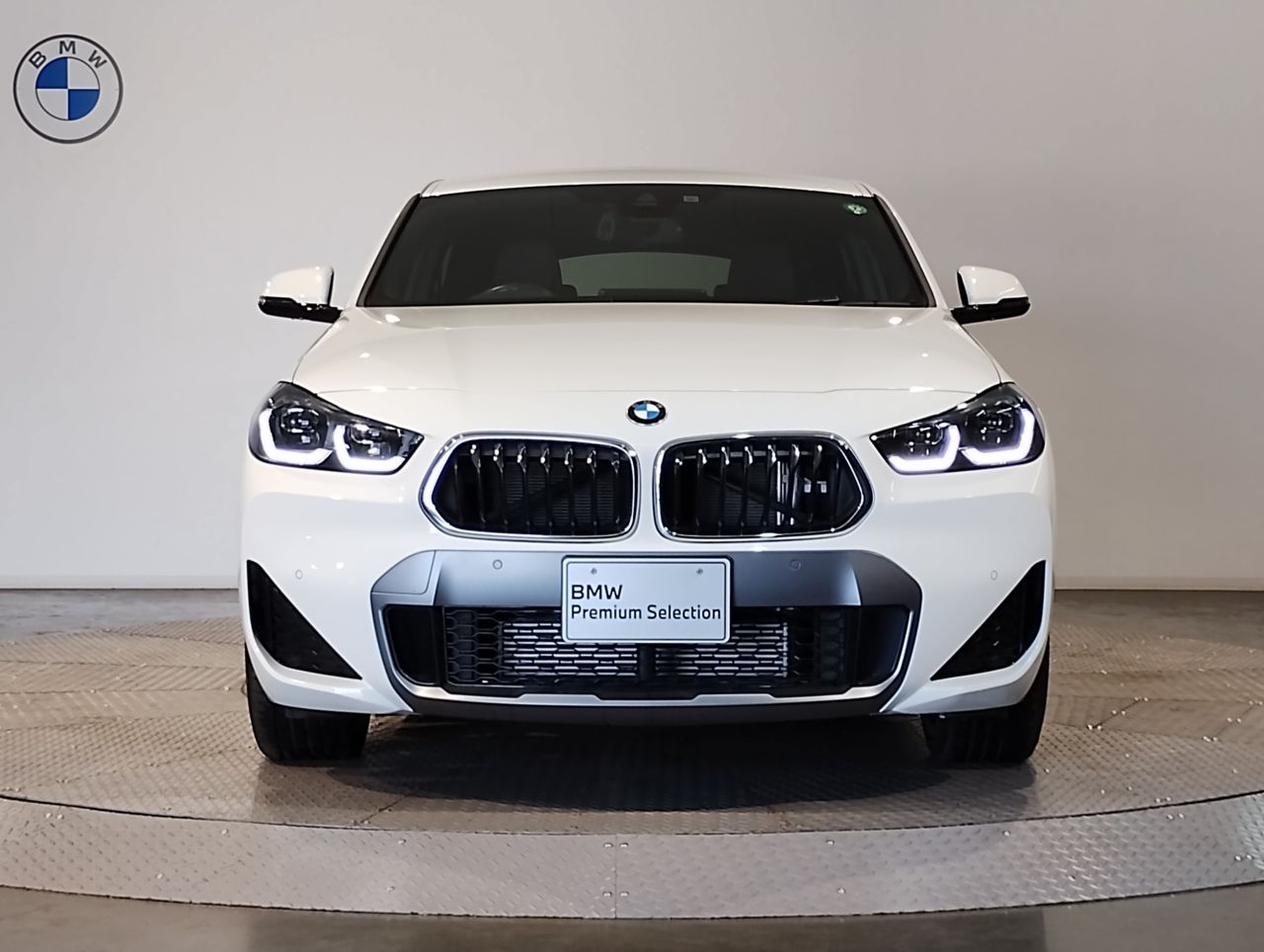 F39 X2 xDrive20d B47 2.0d